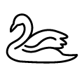Black Swan Events